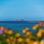 Marineledda Bouganvillea Marinella (Sardinia)